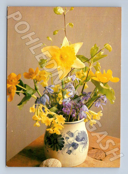 Pohlednice Květiny narcis prvosenky váza 1964 (M23685)