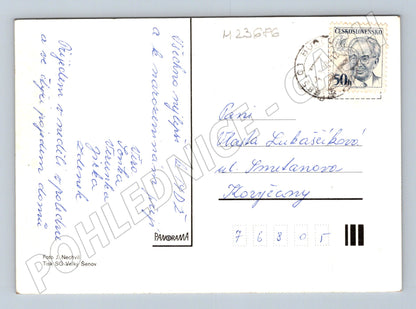 Pohlednice Růže ve váze 1957 (M23686)
