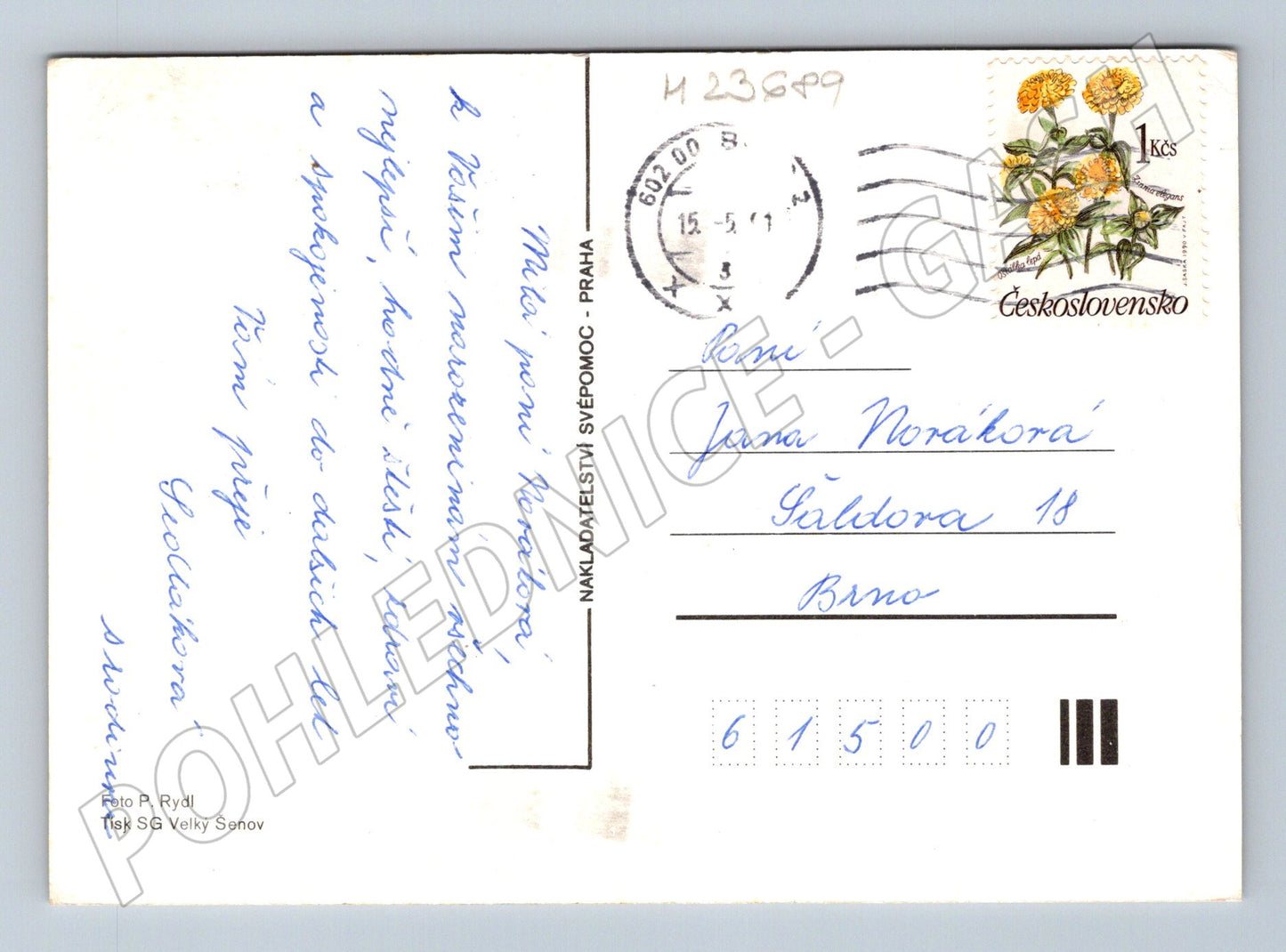 Pohlednice Srdečné přání květiny 1993 (M23689)