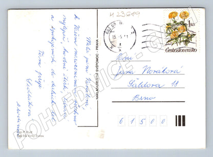 Pohlednice Srdečné přání květiny 1993 (M23689)