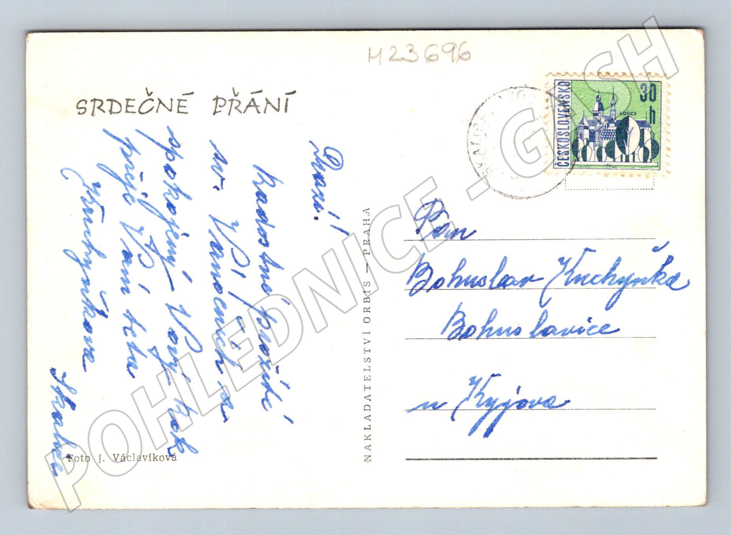 Pohlednice Vánoční květiny ve váze (M23696)
