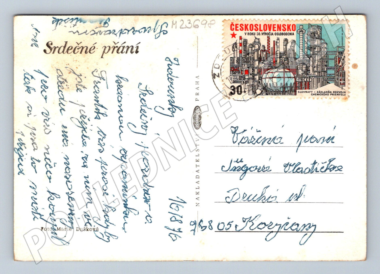 Pohlednice růže s razítkem 1995 (M23698)