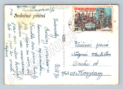 Pohlednice růže s razítkem 1995 (M23698)