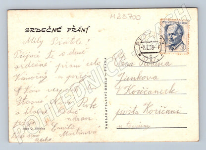 Pohlednice tři květiny - sedmikrásky Novoroční 1969 (M23700)