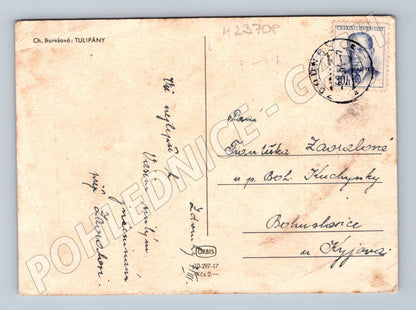 Pohlednice kytice tulipánů Srdečné přání 1930 (M23708)