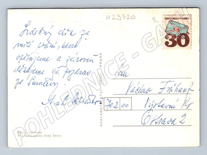 Pohlednice Velikonoční motiv vajíčka v košíku (M23720)