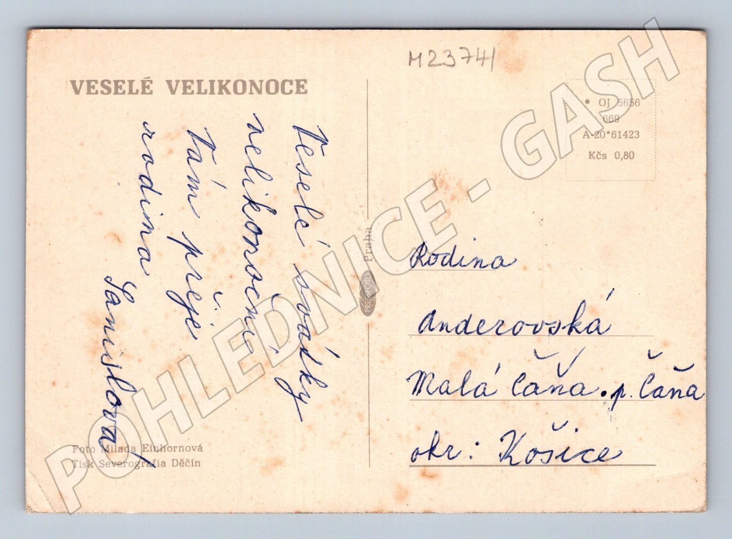 Pohlednice Velikonoce vejce a květiny (M23741)