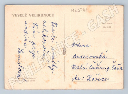 Pohlednice Velikonoce vejce a květiny (M23741)
