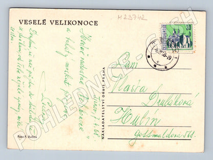 Pohlednice Velikonoční sněženky kuřátka 1968 (M23742)