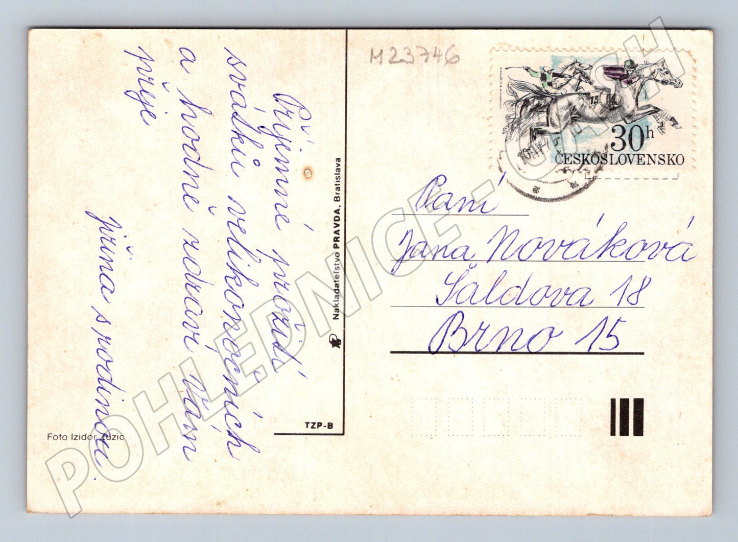 Pohlednice Velikonoční vajíčka s kočičkami (M23746)