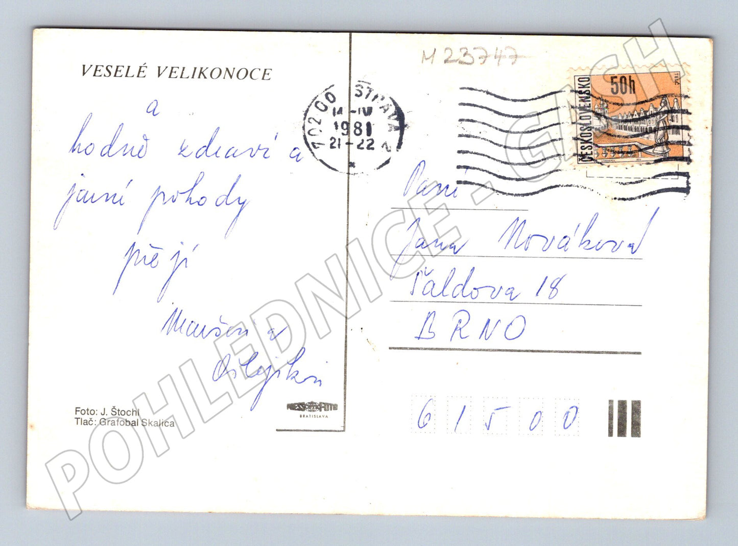 Pohlednice velikonoční kraslice a kočičky 1981 (M23747)