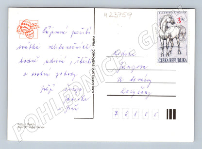 Pohlednice Velikonoční vajíčka miska (M23759)