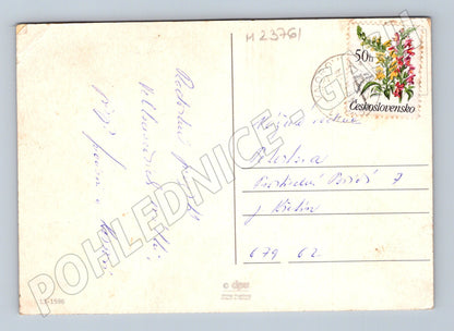 Pohlednice Velikonoční kuřátka 1962 (M23761)