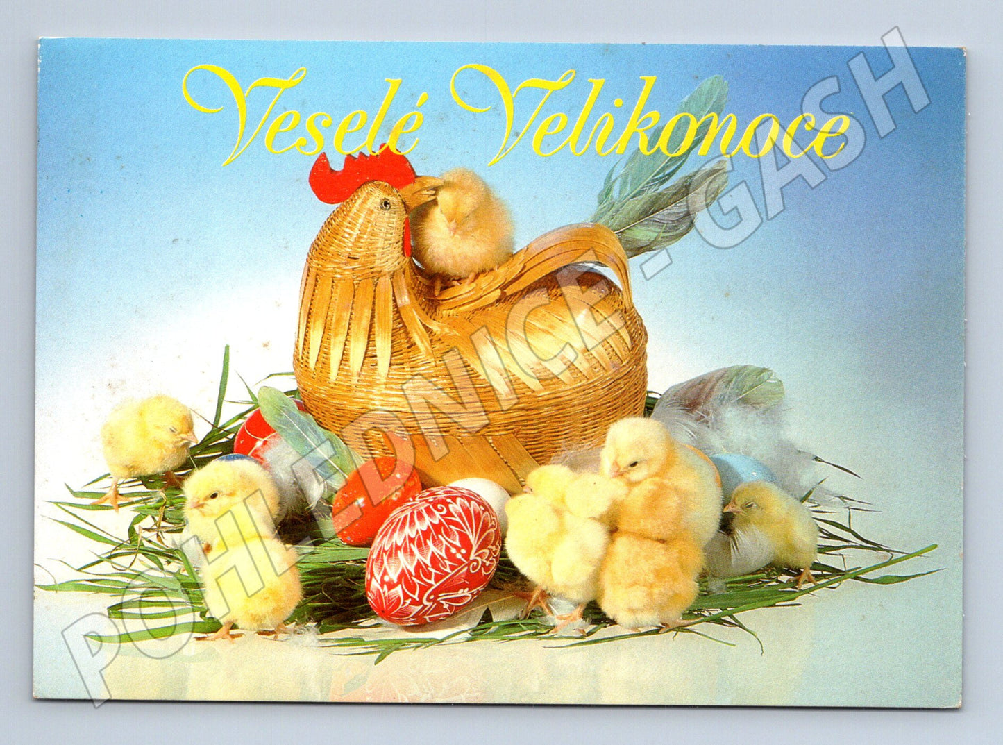 Pohlednice Velikonoce kuřátka (M23770)