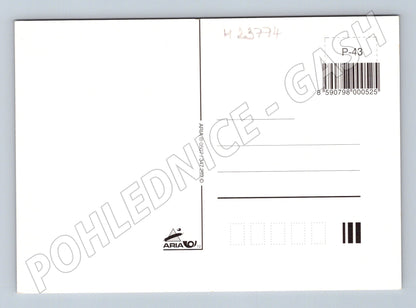 Pohlednice Veselé Velikonoce kuřátka narcisy vajíčka (M23774)
