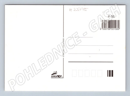 Pohlednice Velikonoční vajíčka květiny (M23775)