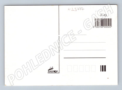 Pohlednice Velikonoční motiv kuřátka květy (M23777)