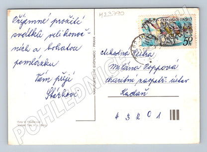 Pohlednice Pastýř se stádem ovcí Veselé velikonoce 1980 (M23790)