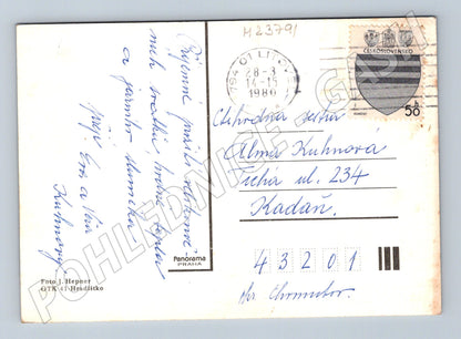 Pohlednice Velikonoce ovce v krajině 1980 (M23791)