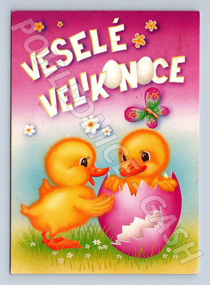 Pohlednice Velikonoce kuřátka (M23804)