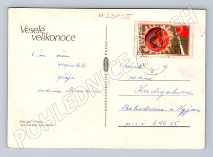 Pohlednice velikonoční forsythie vejce kuře 1974 (M23805)