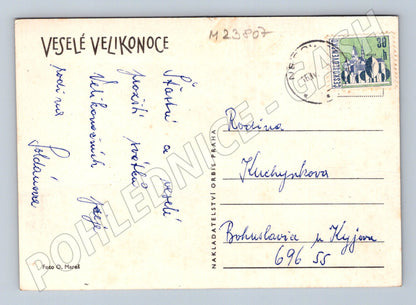 Pohlednice Velikonoce kuřátko kraslice (M23807)