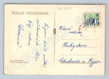 Pohlednice Velikonoční motiv krokusy a vejce (M23810)