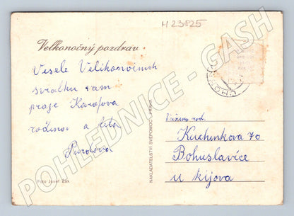 Pohlednice Velikonoční motiv kuře vajíčka (M23825)