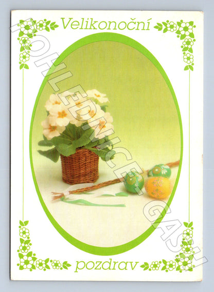 Pohlednice Velikonoční primule vejce 1992 (M23847)