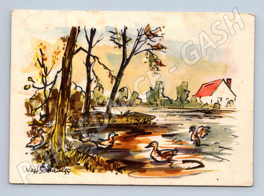 Pohlednice Velikonoce ilustrace kachny 1957 (M23883)