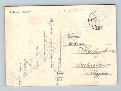 Pohlednice Velikonoce, tulipány 1941 (M23888)