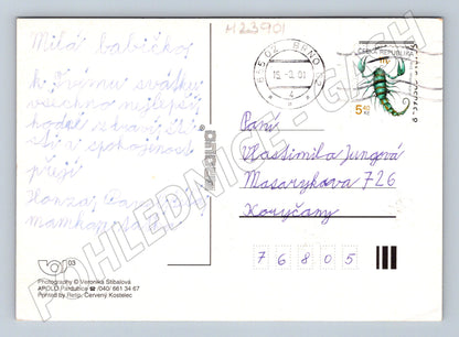 Pohlednice Kočka na červené židli 2001 (M23901)