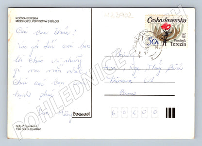 Pohlednice kočka perská 1987 (M23902)