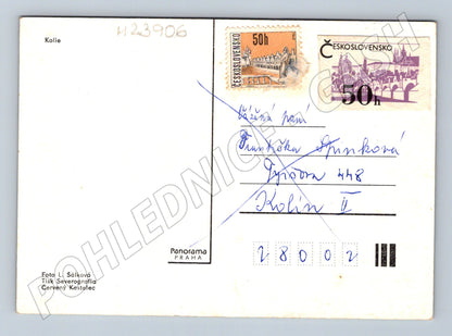 Pohlednice Kolie se štěňaty (M23906)