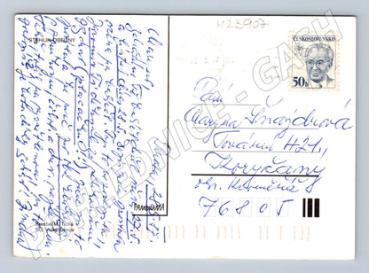 Pohlednice Stehlíci na bodlácích 1970 (M23907)