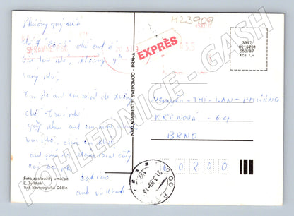 Pohlednice zebry 1989 (M23909)