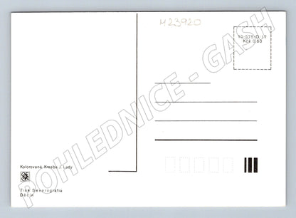 Pohlednice Kresba Josef Lada lev a opice kadeřník (M23920)