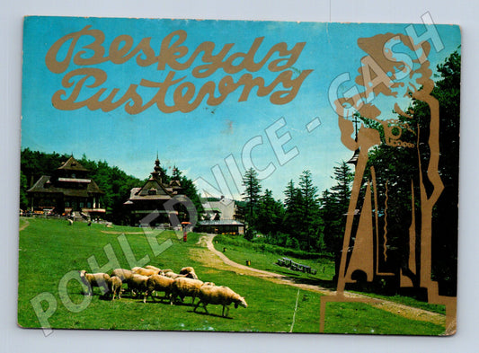 Pohlednice Beskydy Pustevny s ovcemi 1970s (M23970)