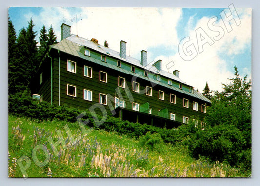 Pohlednice Jeseníky Kouty nad Desnou zotavovna ROH 1980 (M2398)