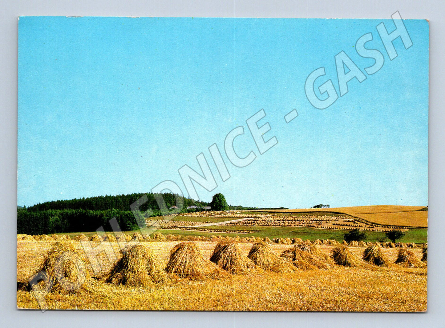 Pohlednice krajina se snopy obilí (M23989)