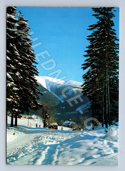 Pohlednice Slovensko hory zimní krajina (M23991)