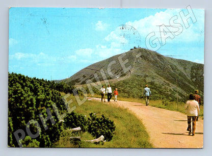 Pohlednice Krkonoše Sněžka od západu 1973 (M23997)