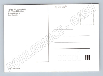 Pohlednice Dolní Adršpach Adršpašské skály hotel Lesní zátiší (M24004)