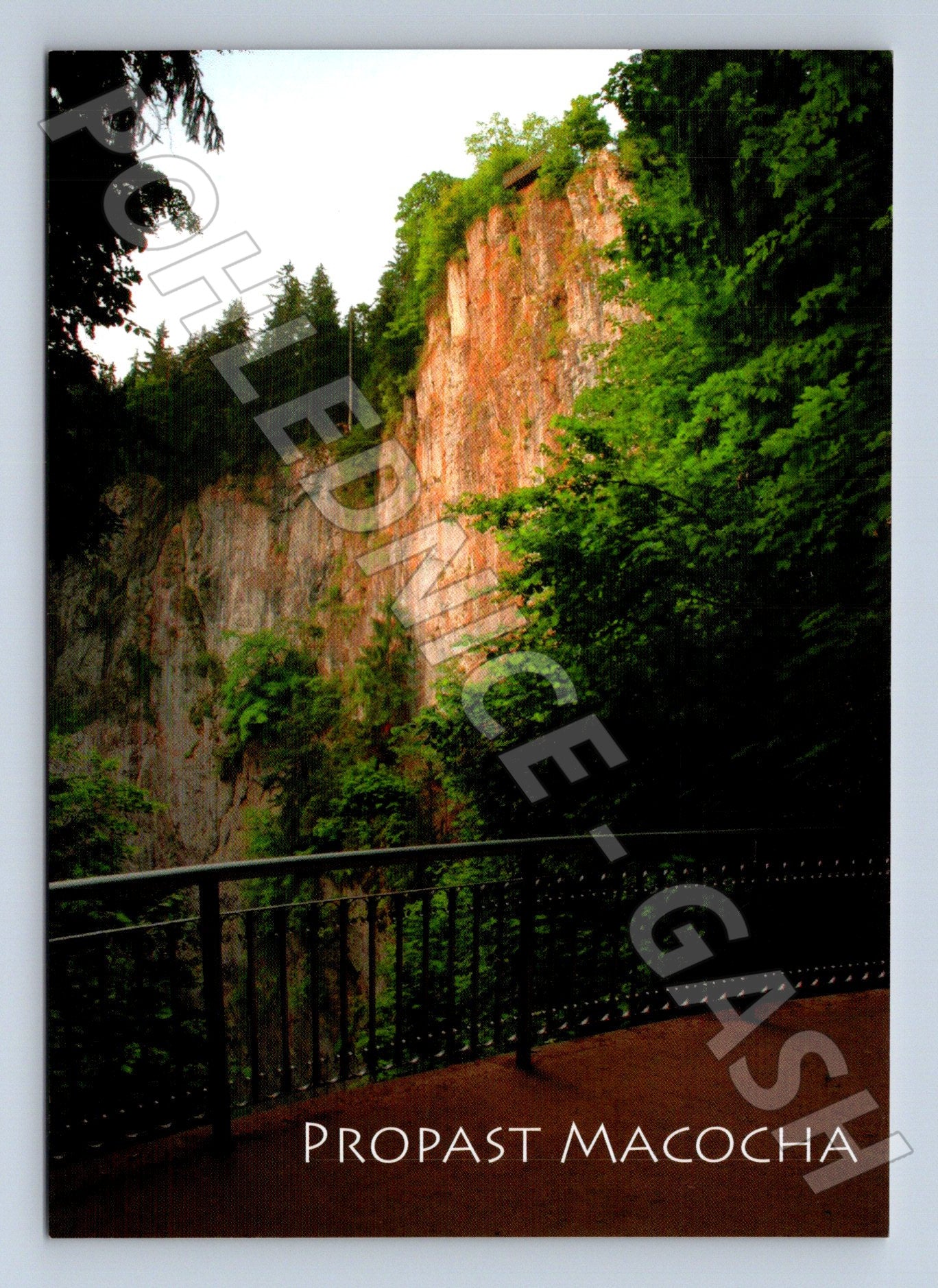 Pohlednice Propast Macocha jeskyně 2008 (M24012)