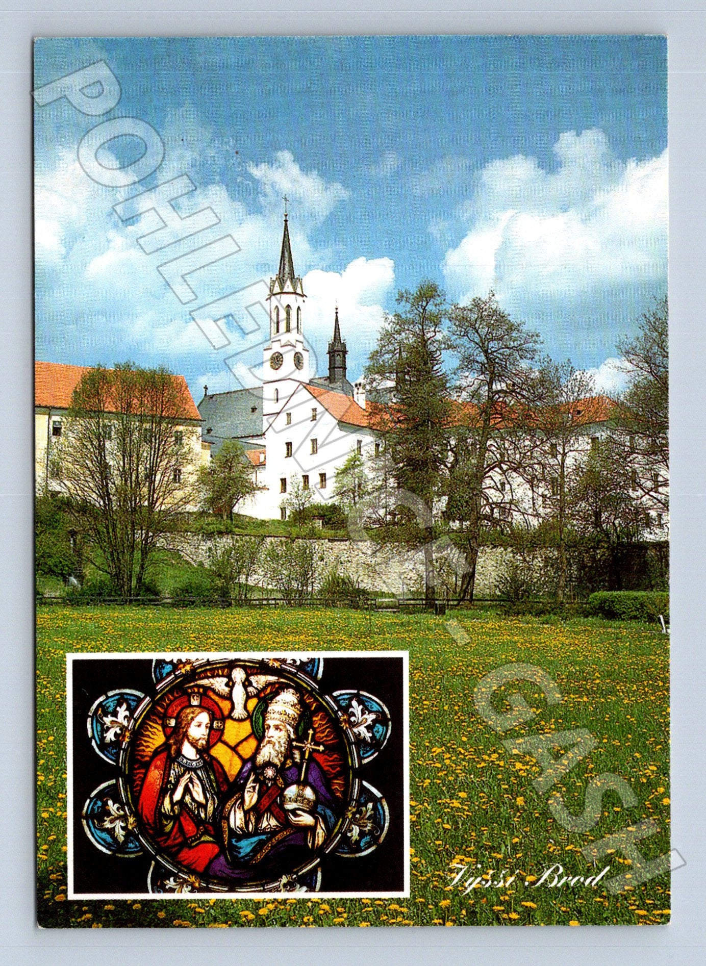 Pohlednice Vyšší Brod klášter rozety (M24026)