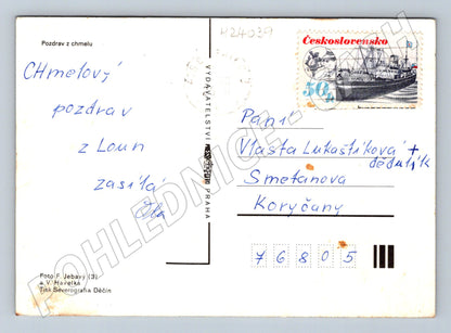 Pohlednice Louny chmelobraní chmel (M24039)
