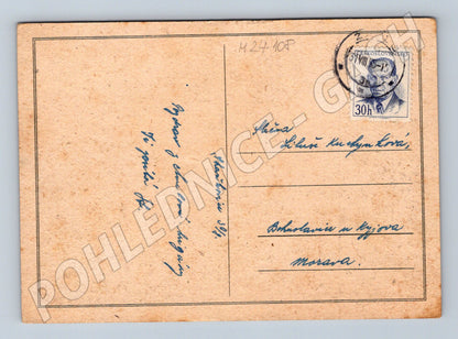 Pohlednice lesni cesta 1915 (M24108)