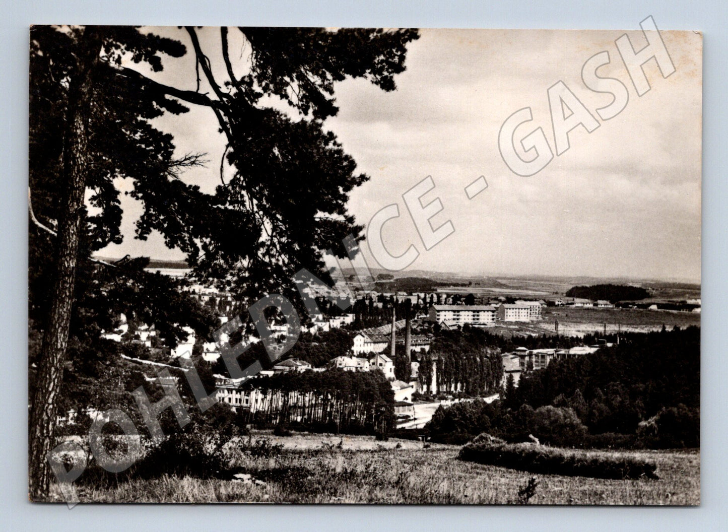 Pohlednice Borovina u Třebíče celkový pohled 1941 (M24109)