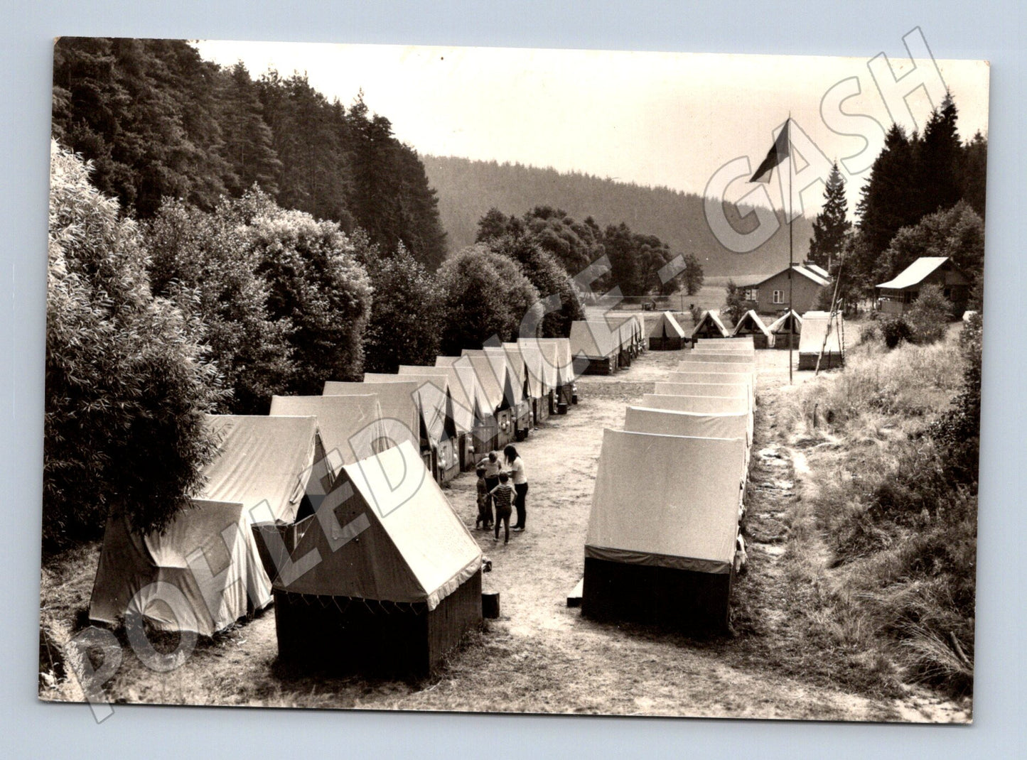 Pohlednice Bory Žďár n. Sáz. dětský letní tábor (M24130)
