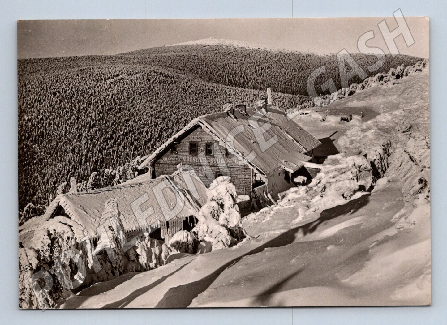 Pohlednice Jeseníky chata Vřesová studánka 1947 (M24137)
